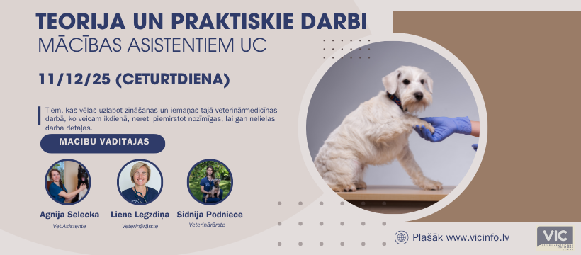 Klātienes mācības veterinārārstu asistentiem - teorija un prakse mazo dzīvnieku veterinārijā aizvadītas!